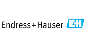 endress hauser.png